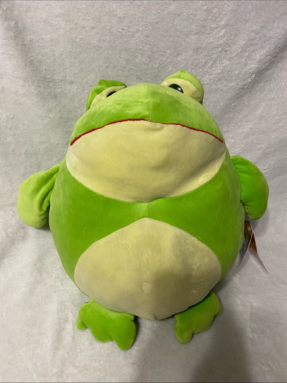 giant chubby frog plush pillow